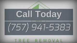 preview picture of video 'Darrin Tree Removal Williamsburg Virginia 757 941 5383 Williamsburg Tree Removal Services'