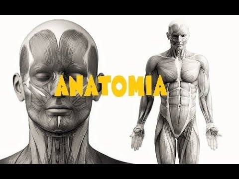 Pattinaggio su ghiaccio per il mal di schiena Sia reumatismo articolare trattati