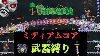 【Terraria】ミディアムコアと武器縛りで死ぬテラリア【マルチ実況】part10