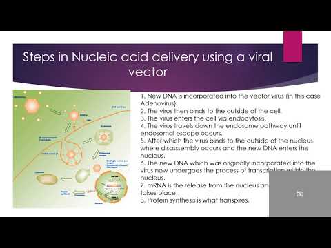 Nucleic Acid Delivery for Disease Therapy
