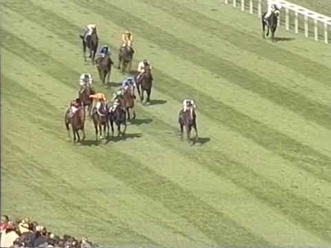 Mercedes-Benz Grand Prix of Baden 2000 - Samum