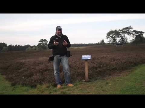 Günstige Objektivköcher für eure Objektive im Test