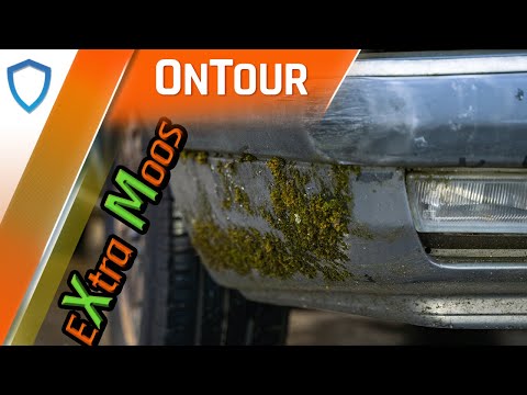 Ungewaschen seit 8 Jahren - Die AUFERSTEHUNG eines Citroën XM V6! Lässt er sich retten?