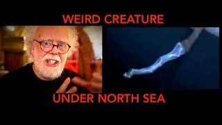 alien sea creature? - Prof Simon