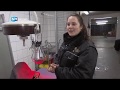 Stokstaartje krijgt de fles | Remy en z'n vrienden #6