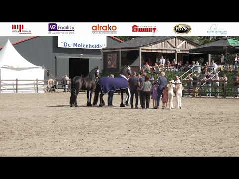 Fokdag | Zuid-Holland | 27 juli 2026