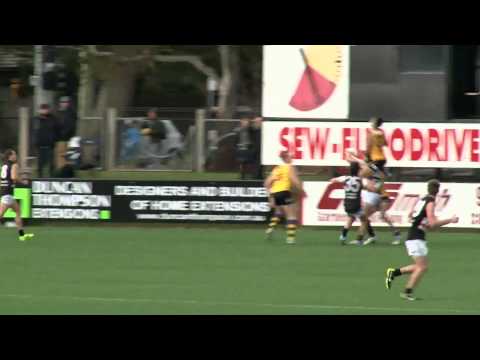 Milera's VFL screamer
