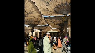 Subhanallah, Maghrib time at Masjid an-Nabawi