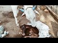 Welcome To New World Raithanna New Songs New Video Raithanna Song