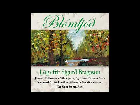 Næturregn - Sigurður Bragason