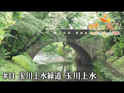 「たまにはプラっと！」　2024年6月14日放送