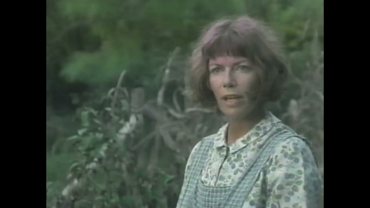 Morgan's Ferry (2001) VHS Trailer