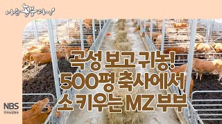 [나는농부다 259회] 곡성 보고 귀농! 500평 축사에서 소 키우는 MZ부부