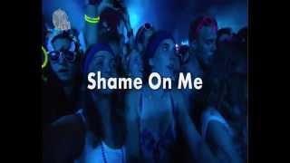 Avicii  - Shame On Me