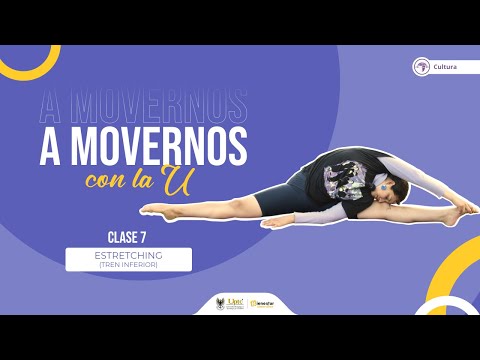 Estretching tren inferior