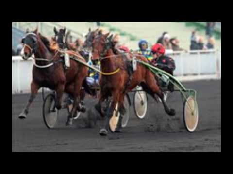 Pronostic quinté 16/02/2017 - Vincennes -  Prix de Châteaurenard