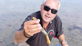 How to catch forage for Razor Fish / Clams on the beach using Sea Salt with ChilliDave