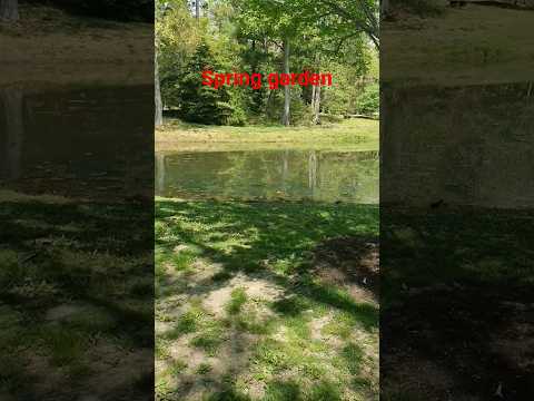 beautiful spring garden arlington#spring #garden #arlington #viral #viralreels #shorts #short