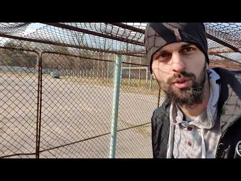 Videle ( short-play )