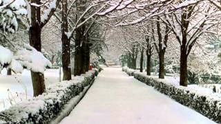 KAR  TANELERİ (NİLÜFER)