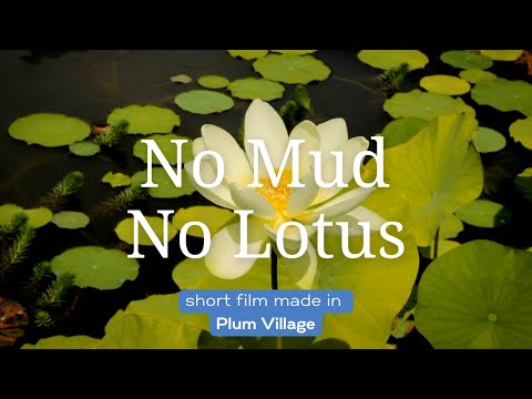 No Mud No Lotus | Short Film with the Words of Thich Nhat Hanh