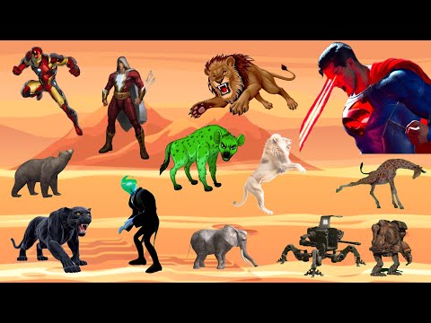 البطل الخارق سيمبا الادغال|ايرون مان|شازام|سوبرمان|النمر الاسود|أقوى قصص مجمعة شهر 8