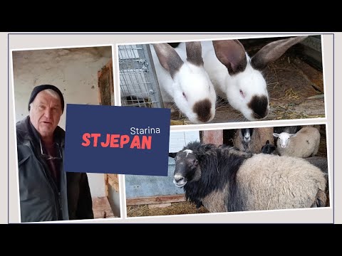KUNIĆI, OVCE I STARINA STJEPAN OD 81 GODINU