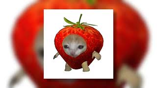 Download lagu chaar botal vodka - yo yo honey singh (sped up) mp3