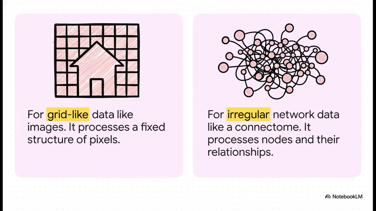 Decoding Brain Networks: Unlocking Cognitive Performance