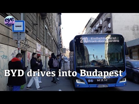 BYD electric buses hit Budapest streets