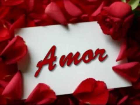 Como é Grande o Meu Amor Por Você video