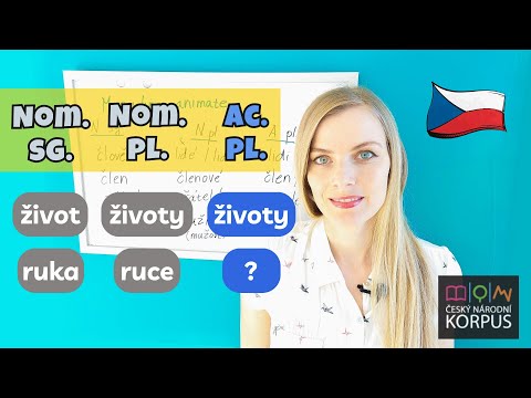 📚 Frequent Czech Nouns & Their Plurals