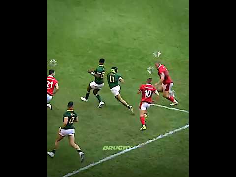 When Kolbe Faces Everyone Alone 🥶 #rugby #edit #viralvideo #cheslinkolbe #kolbe