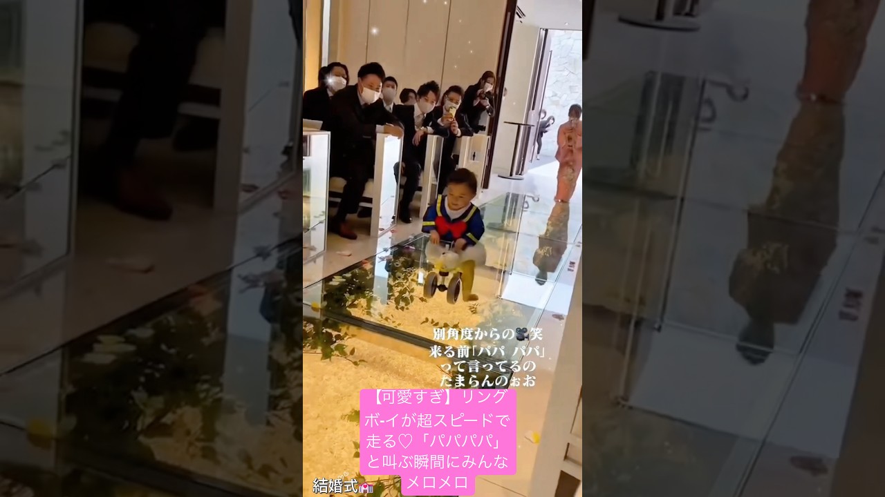 【可愛すぎ】リングボ-イが超スピードで走る♡「パパパパ」と叫ぶ瞬間にみんなメロメロ.#結婚式 #wedding #shortvideo #weddingdress #shorts