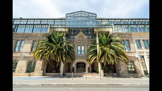 Miniature de la vidéo