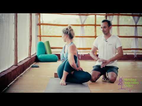 Asana Breakdown - Marichyasana D