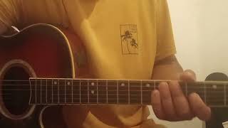 Como tocar- Ovelha em Treinamento  Isadora Pompeo. No violão - aula de violão