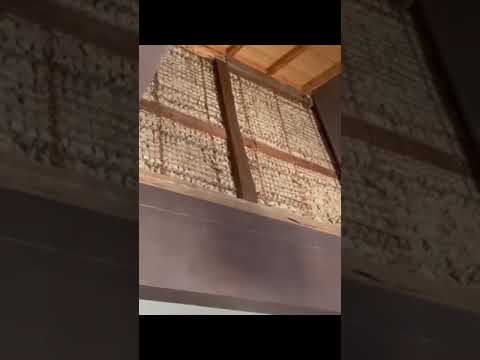 同時開催イベント①