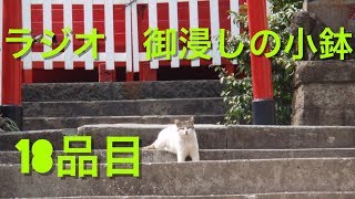 【ラジオ】御浸しの小鉢【18品目】