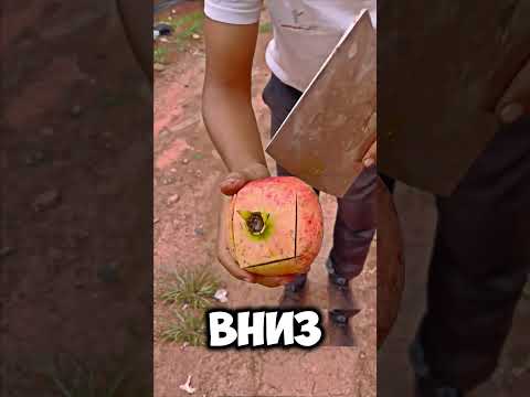 Как легко разделить гранат на 4 части🍎🔪