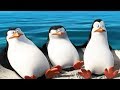 DreamWorks Madagascar 19 000 000 Vehicle Funny Scene Penguins Of Madagascar Kids Movies