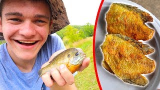 Panfish/Bluegill Catch Clean Cook!