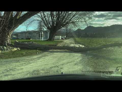 02-11-2021 Sumas, WA - Strong Fraser Outflow; 65mph gusts; Tree damage; Sign snapped in two