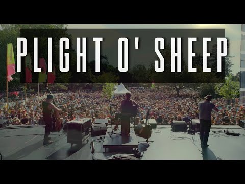 Plight o' Sheep LAUNCH TOUR