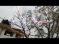Aaj Mausam Bada Beiman Hai Status Video WhatsApp Status Vodeo