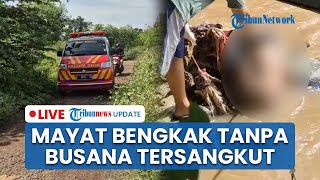 LIVE: MISTERI MAYAT BENGKAK di Kali Baru Depok, Tersangkut Pohon Kondisi Telanjang Dada
