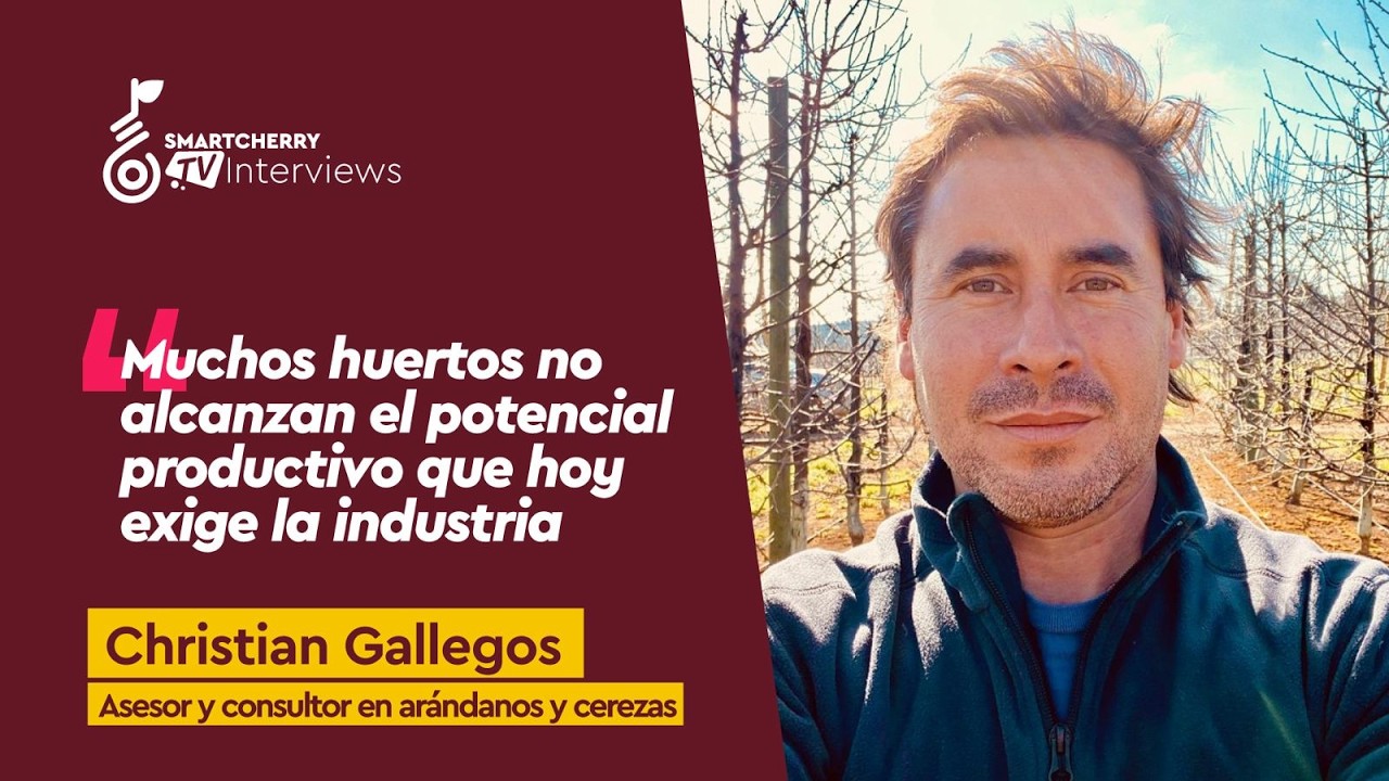 Christian Gallegos: "El gran desafío hoy es bajar los costos por kilo, no por hectárea"