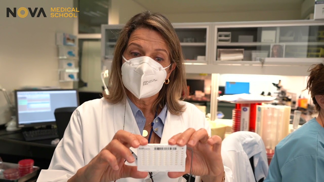 Técnicas de Microbiologia