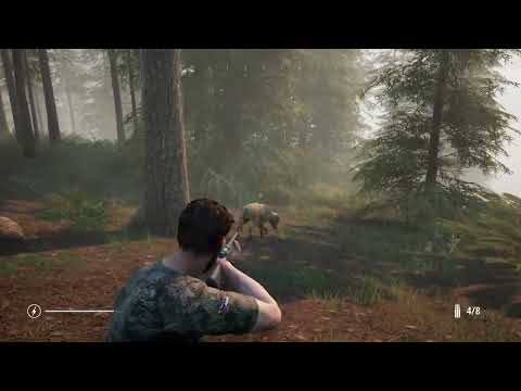 Hunting Simulator 2 -- Gameplay (PS4)