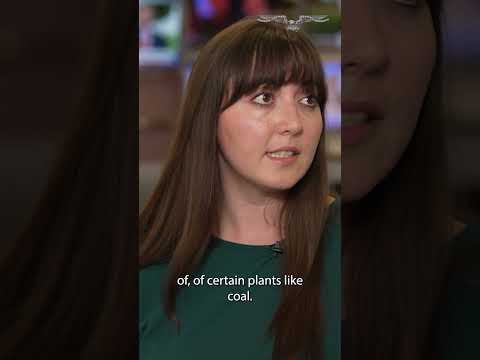 Callie Patteson on OPEC's unexpected announcement on the future of oil and gas short 2